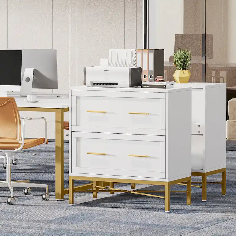 32 Inch File Cabinet, Modern 2 Drawer Lateral Filing Cabinet for Letter/Legal/A4 Size, for Home Office, White Gold